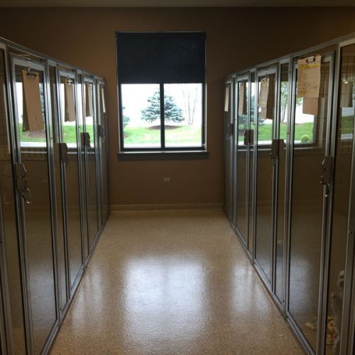 Hospital Boarding Suites