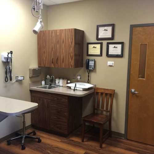 Feline Exam Room