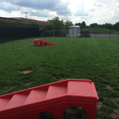 Fenced Dog Run