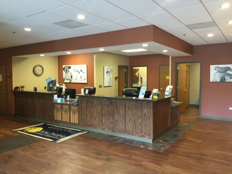 Lobby - Indian Prairie Animal Hospital