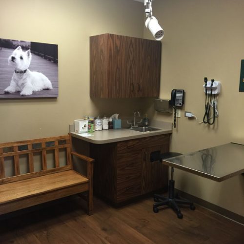 Small Dog Exam Room